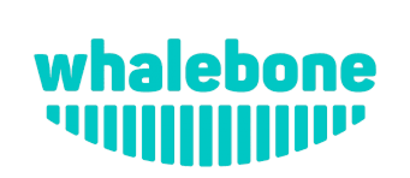 Whalebone